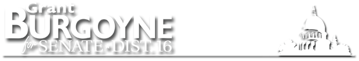 Grant Burgoyne for Idaho Senate District 16